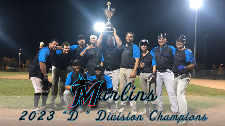 Marlins-2023-D-champions